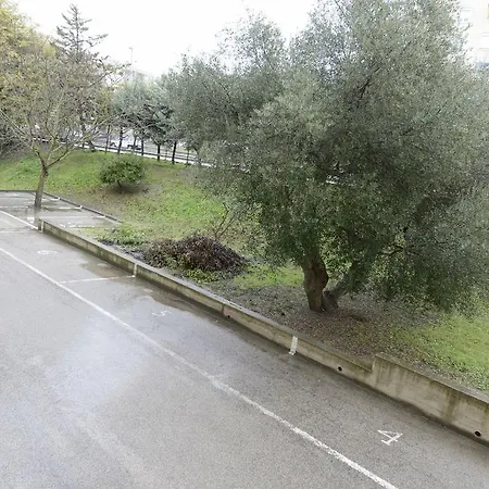 Non Solo Sassi